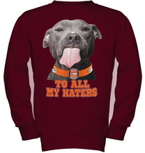 Load image into Gallery viewer, Denver Broncos to all my haters pitbull shirt
