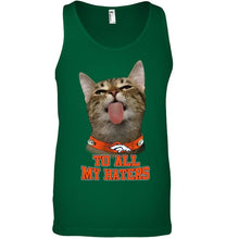 Load image into Gallery viewer, Denver Broncos cat to all my haters shirt
